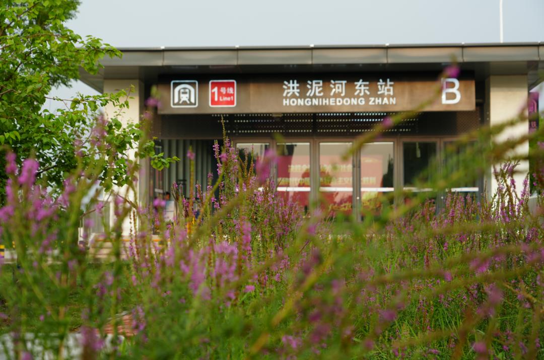 960.jpg
